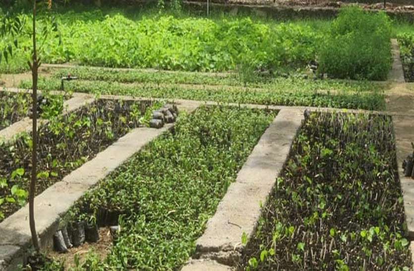 टोंक के सौ फीसदी लक्ष्य में मालपुरा बना बाधा टोंक के सौ फीसदी लक्ष्य में मालपुरा बना बाधा
