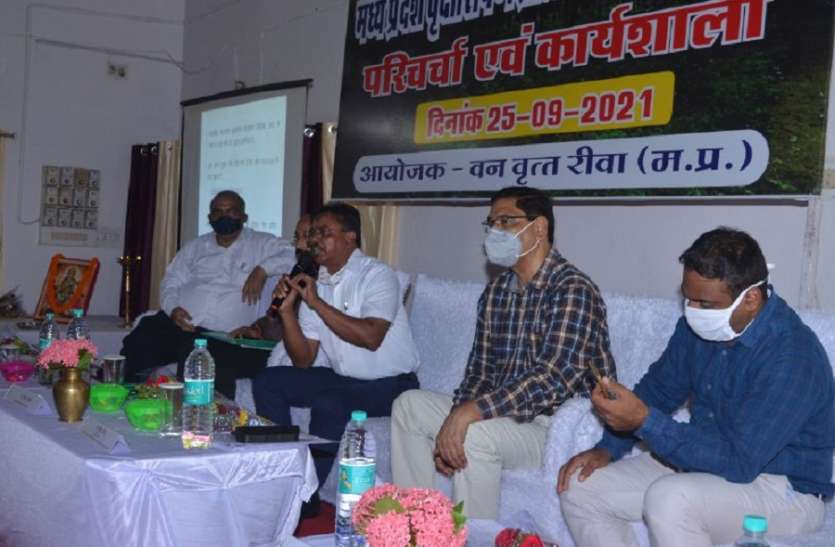 rewa निजी भूमि पर पौधरोपण का मिलेगा प्रोत्साहन, कानून बनाने से पहले संवाद