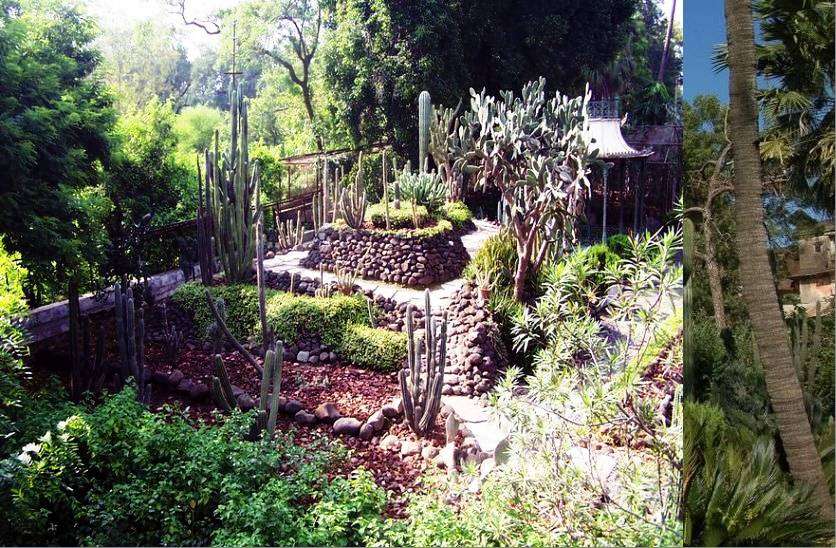 ratlam_cactus_garden__2.jpg