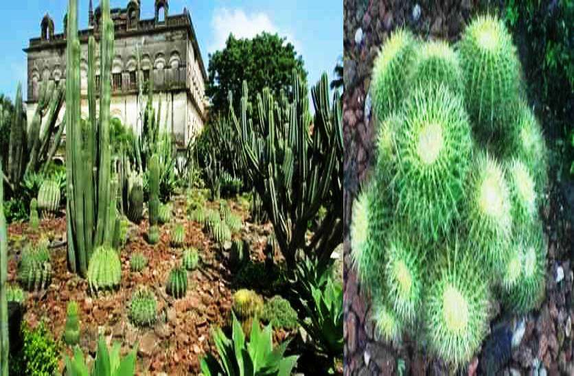ratlam_cactus_garden__4.jpg