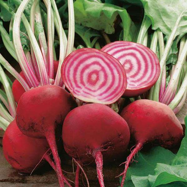 beet_roots.jpg