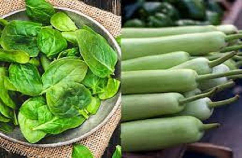 green_vegiii.jpg