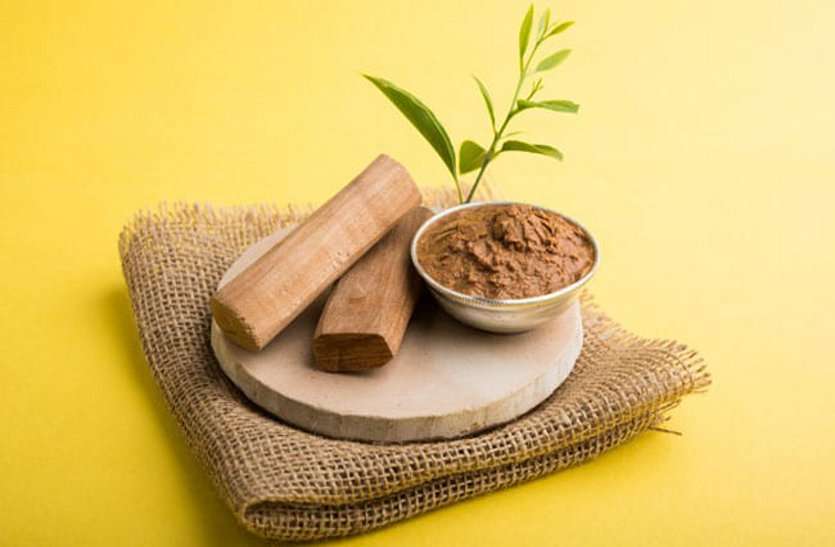 Herbs Benefits: ये हर्ब्स जो आपकी किडनी को रखते हैं स्वस्थ,इन्हें डाइट में कर सकते हैं शामिल