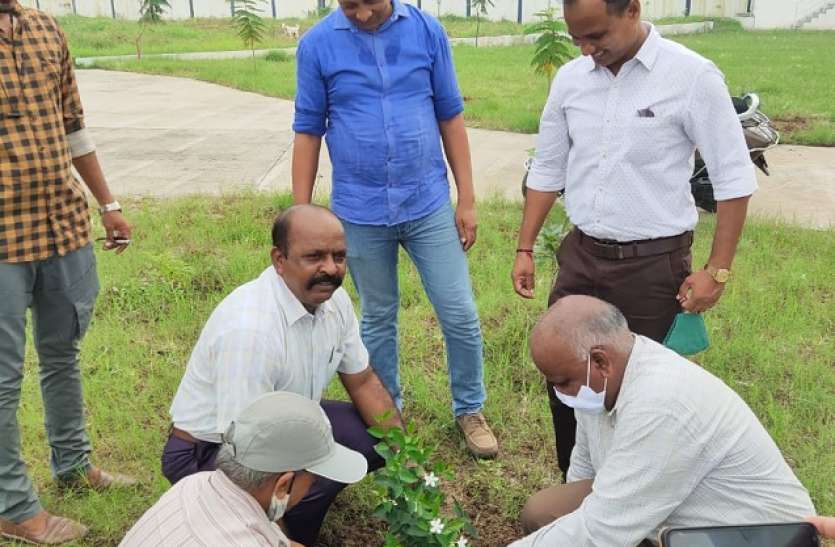 जेल के कैदी बनेंगे पेड़ों के पालक जेल के कैदी बनेंगे पेड़ों के पालक