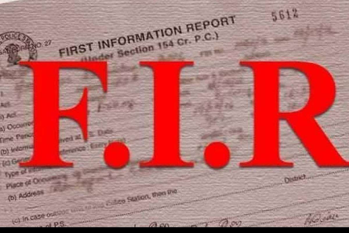 fir.jpg