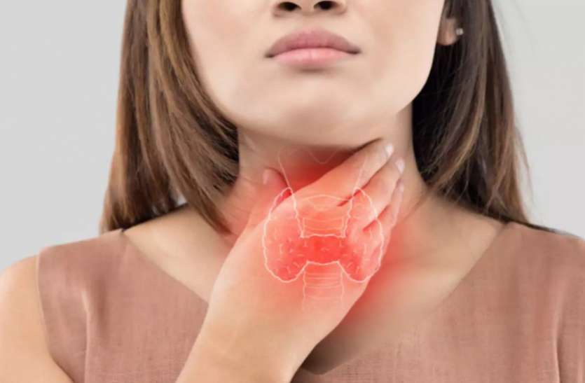 Thyroid Diet Thyroid Diet: थायराइड के मरीज हैं तो खाने में कर सकते हैं इन चीजों को शामिल
