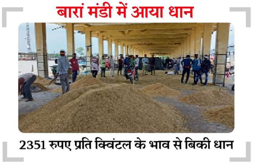 बासमती की खुशबू से महके मंडी के गलियारे बासमती की खुशबू से महके मंडी के गलियारे