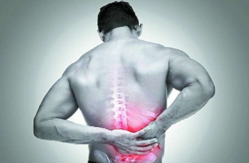 Back Pain Diet Back Pain Diet: पीठ के दर्द से रहते हैं परेशान तो डाइट में शामिल कर सकते हैं चीजों को