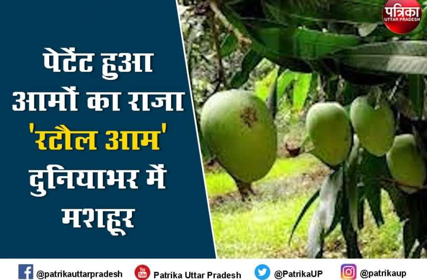 World Famous Rataul Mango Got Patent in Varanasi पेटेंट हुआ प्रसिद्ध रटौल आम, दुनियाभर में मशहूर है लजीज आम का स्वाद, जानें क्या है इसकी खासियत