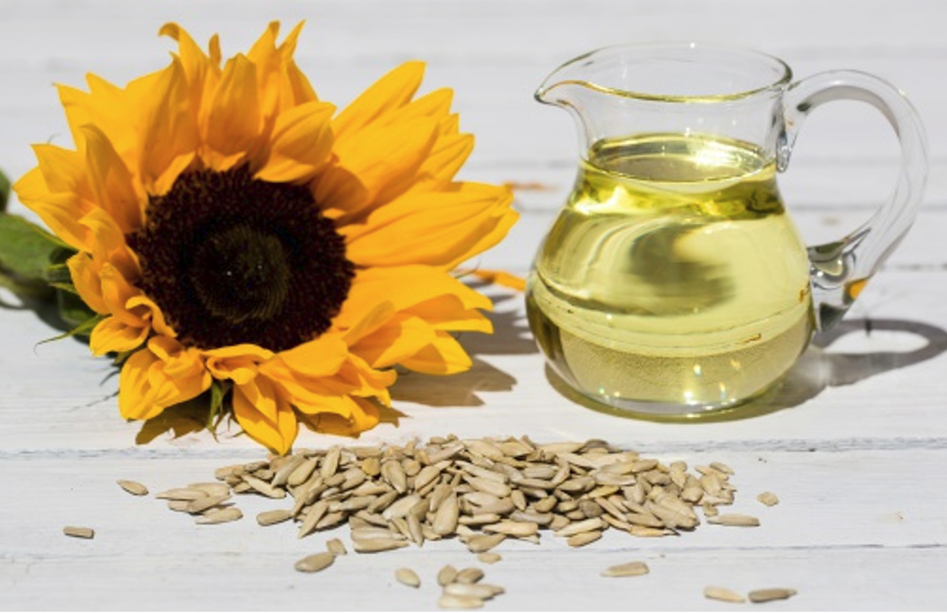 Sunflower Seeds For Skin: स्किन को बनाना चाहते हैं ग्लोइंग और सॉफ्ट तो करें सनफ्लावर सीड्स के बीज का सेवन