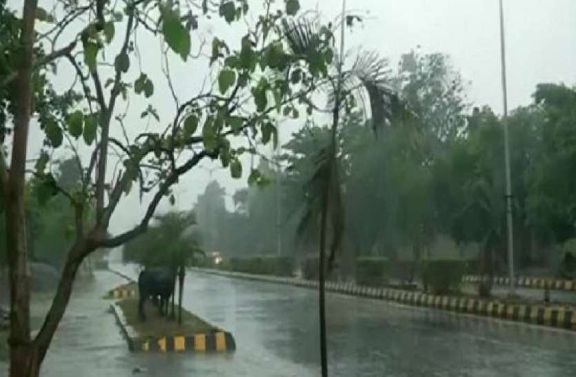 Delhi Weather News Updates Today Delhi Weather News Updates Today: दिल्ली में आज हल्की बारिश के आसार, आईएमडी ने जारी किया अलर्ट