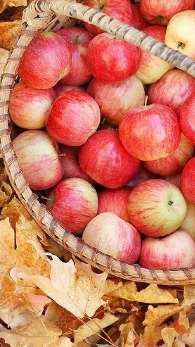 apples.jpg