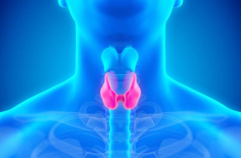 hypothyroidism_disease.jpg Fruit Diet For Thyroid Patients: थायराइड नियंत्रण में सहायक हो सकते हैं यह फल
