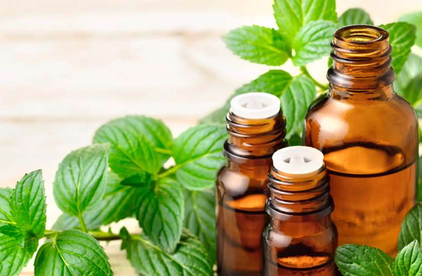 Mentha Oil Price Mentha Oil Rate Mint Oil rate n Price 08-10-2021 Mentha Oil Rate Mentha Oil Price : नवरात्र के दो दिनों में ही 25 रुपए प्रति किलोग्राम बढ़ गये मेंथा तेल के दाम, जानें- आज का Mint Oil Price