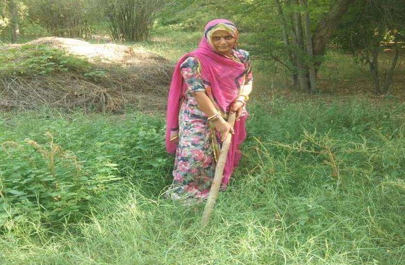 बोली प्रधान- अंतिम छोर तक पहुंचाएंगे योजनाओं का लाभ बोली प्रधान- अंतिम छोर तक पहुंचाएंगे योजनाओं का लाभ