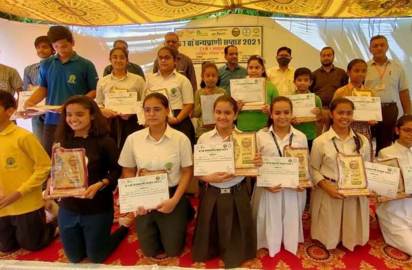 पर्यावरण विनाश से खतरे में वन्यजीवों का अस्तित्व, बचाने के लिए प्रयास जरूरी पर्यावरण विनाश से खतरे में वन्यजीवों का अस्तित्व, बचाने के लिए प्रयास जरूरी