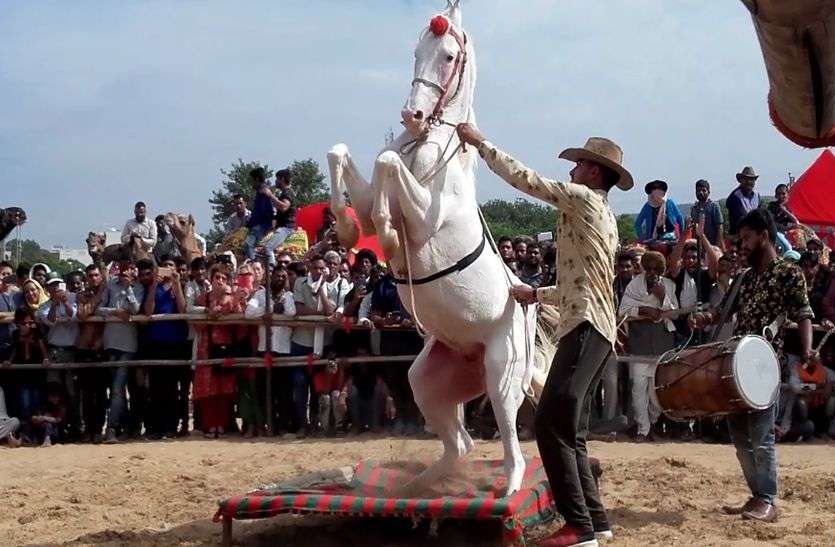 बेनीवाल के बाद अजमेर सांसद भागीरथ बोले: पुष्कर पशु मेला किसानों के हित में जरूरी बेनीवाल के बाद अजमेर सांसद भागीरथ बोले: पुष्कर पशु मेला किसानों के हित में जरूरी