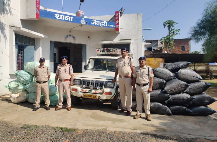 400 kg ganja kept hidden under coconut fruit in jeep, 43 kg ganja seiz जीप में नारियल फल के नीचे छिपाकर रखे 400 किलो गांजा, फरार हुए कार से भी 43 किलो गांजा जब्त