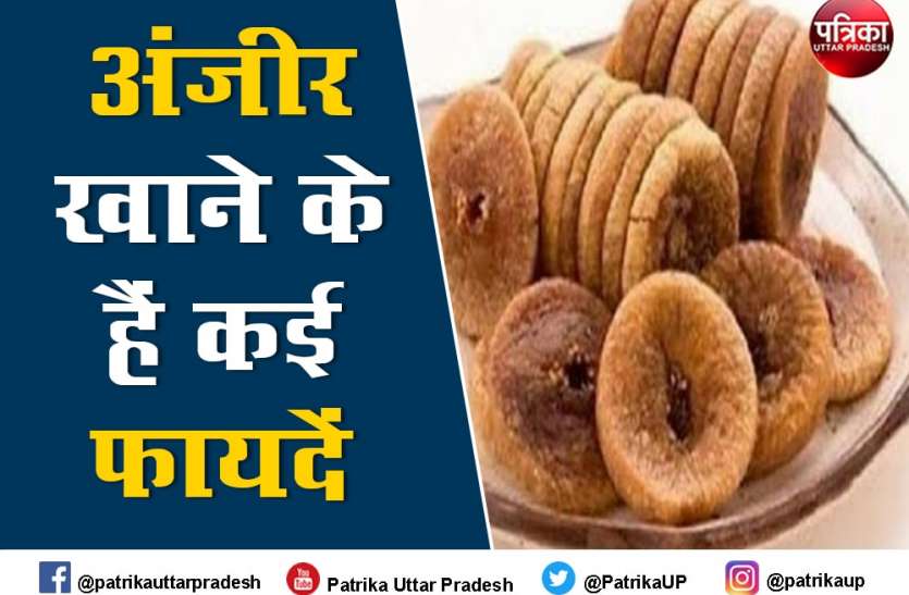 Anjeer Benefits: अंजीर में हैं कईं पौष्टिक तत्व, दूर होती हैं कईं बीमारियां, जानिए इसे खाने के फायदों के बारे में Anjeer Benefits: अंजीर में हैं कईं पौष्टिक तत्व, दूर होती हैं कईं बीमारियां, जानिए इसे खाने के फायदों के बारे में