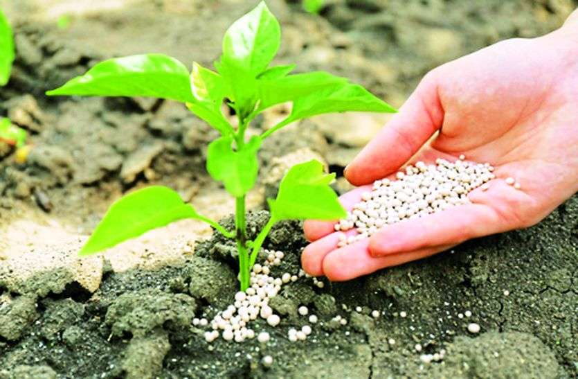 डीएपी को लेकर न हों परेशान, एसएसपी भी है समस्या का समाधान डीएपी को लेकर न हों परेशान, एसएसपी भी है समस्या का समाधान