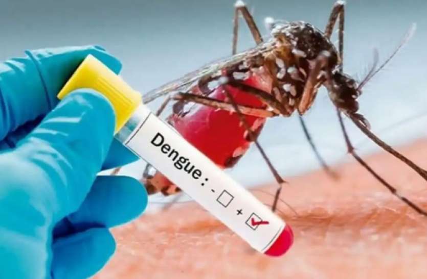 dengue.jpg Health News: फर्रूख़ाबाद में डेंगू, मलेरिया और टॉयफायड से 2000 मरीज, लापरवाह बना स्वास्थ्य विभाग