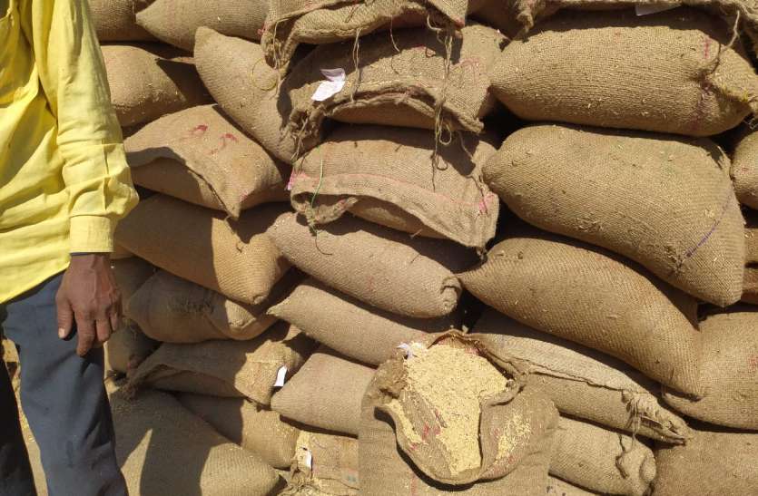 In 65 thousand MT paddy, millers lifted 20 thousand MT paddy, 12 thous 65 हजार एमटी धान में मिलरो ने 20 हजार एमटी धान का किया उठाव, गोदामों में पहुंचा 12 हजार एमटी चावल