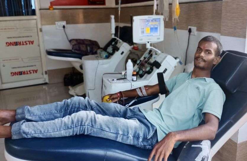 Insect bites in the life of dengue patients कीट का टोटा डेंगू मरीजों की जान सांसत में