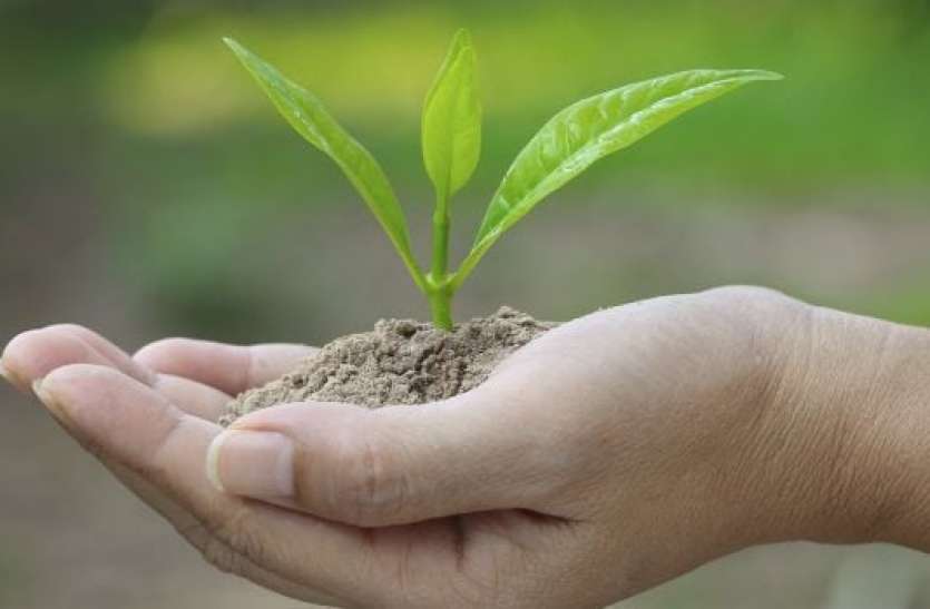 farming.jpg वैज्ञानिकों का दावा- अब खेती के लिए जमीन की जरूरत नहीं, हवा के जरिए तैयार होगी रोटी