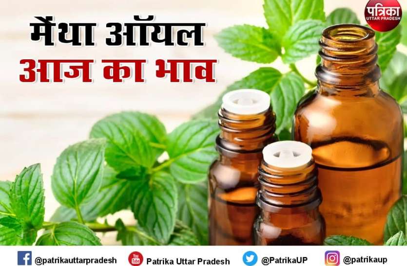 mentha_oil_rate_mentha_oil_price_today.jpg Mentha Oil Rate Mentha Oil Price : लगातार तीसरे दिन भी गिरे मेंथा तेल के दाम, जानें- आज का Mint Oil Price