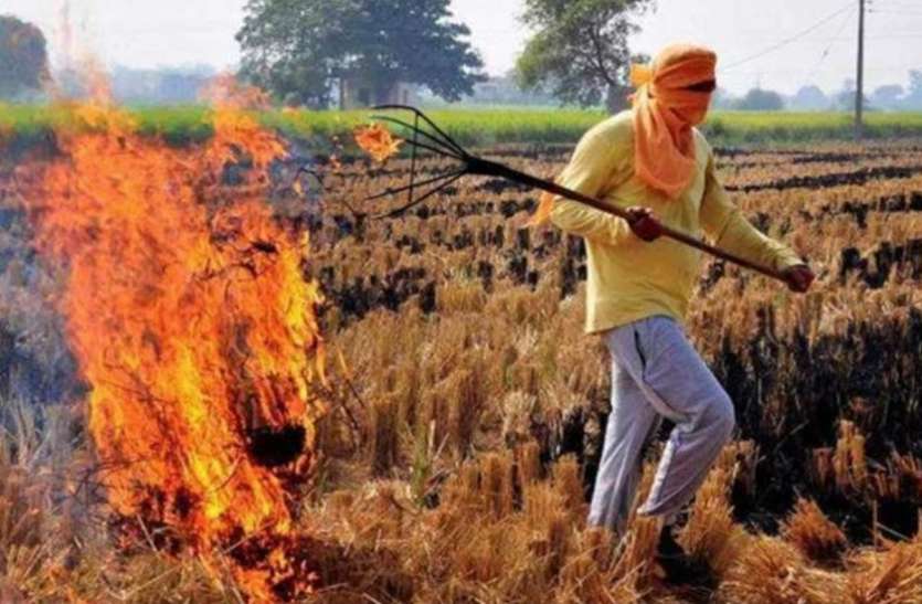 parali.jpg प्रदूषण: पराली जलाने नहीं गलाने के लिए किया जाएगा डी-कंपोजर घोल का छिड़काव