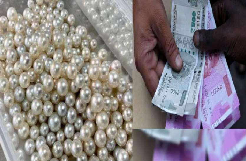 Pearl Farming investment Earn Money: 25 हजार रुपये खर्च करने पर होगी लाखों की कमाई, इस व्यापार से बजेगा सफलता का डंका