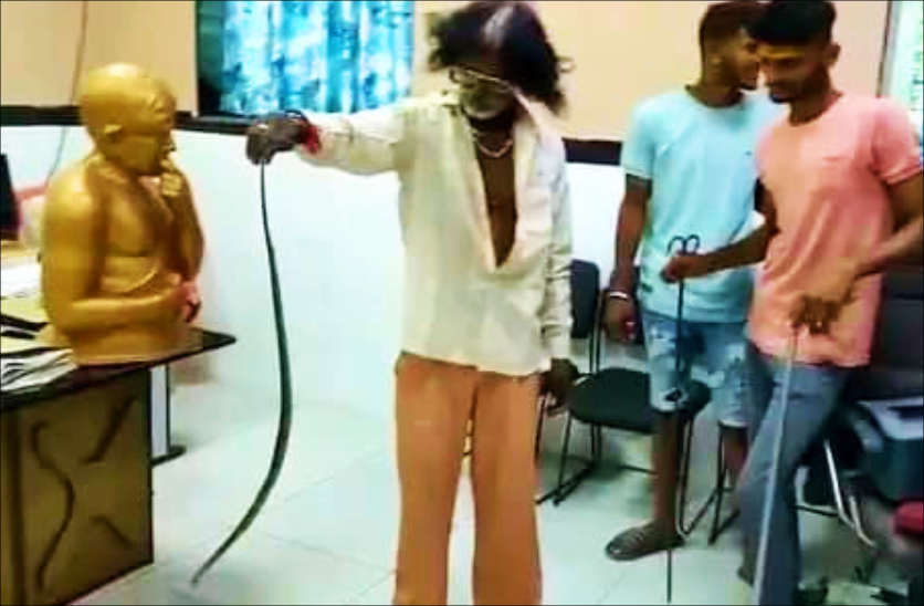 snake_inside.png