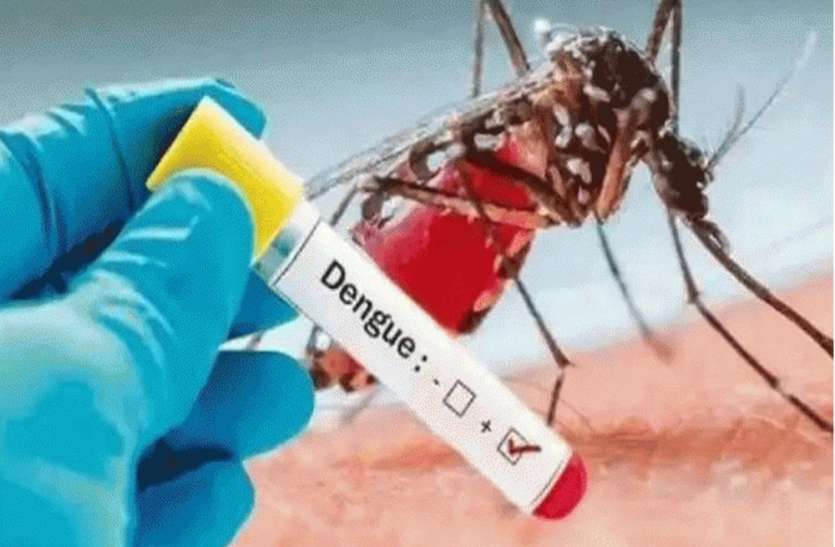 dengue cases increased in up lucknow Dengue : लखनऊ में बढ़ा डेंगू का खतरा, एक दिन में मिले 25 मरीज
