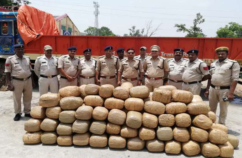 8 quintle hemp seized आंध्रप्रदेश से 56 लाख का गांजा लेकर पहुंचे थे कोरिया, आरोपी विशाखापट्नम से गिरफ्तार