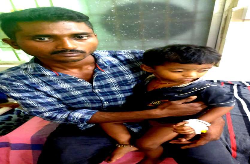 दो साल के बच्चे को जहरीले सांप ने मुंह में डसा था, पास में सो रही मां की जागरूकता से बच गई मासूम की जान, नहीं तो... दो साल के बच्चे को जहरीले सांप ने मुंह में डसा था, पास में सो रही मां की जागरूकता से बच गई मासूम की जान, नहीं तो...