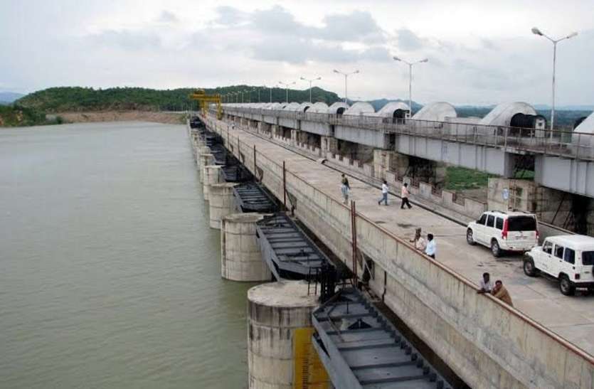 Due to lack of fishermen, they are not able to produce according to the target from Bansagar Dam 31 हजार हेक्टेयर से ज्यादा क्षेत्रफल, 1100 टन का लक्ष्य, निकल रही आधी मछली