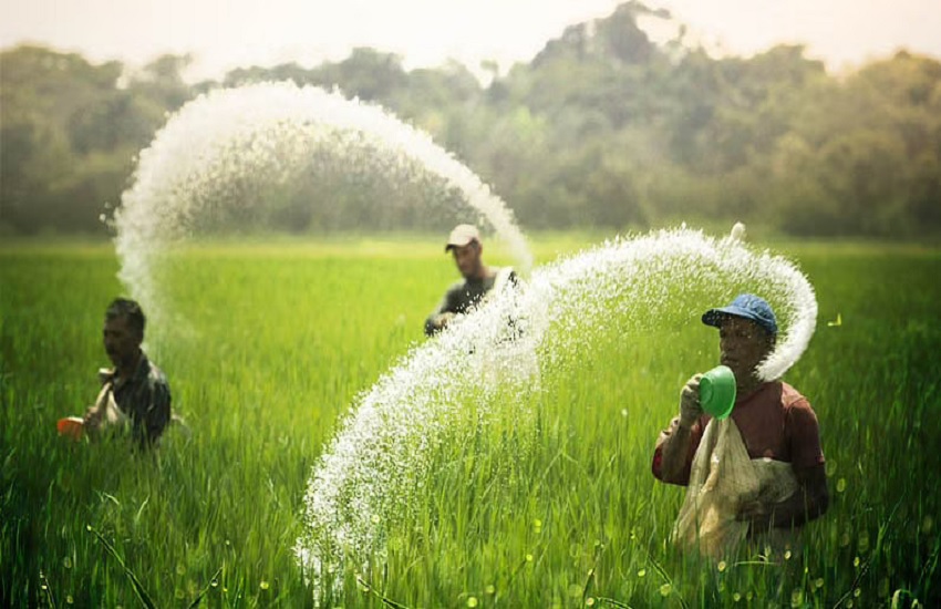 बोआई को तैयार किसान खाद-यूरिया को लेकर चिंतित (प्रतीकात्म फोटो)
