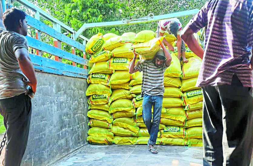 रबी मौसम में मुख्यत: गेहूं, चना, मसूर, अलसी आदि फसलों की खेती की जाती है, जिनके लिए डीएपी, यूरिया की अधिक जरूरत होती है
