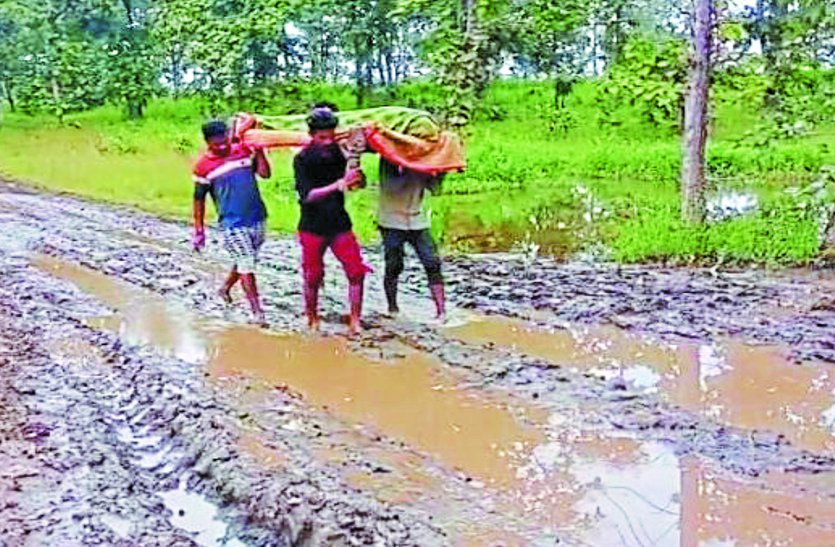 आजादी के बाद से ही सड़क को तरसते आदिवासी ग्राम बोरपानी के लोग,आजादी के बाद से ही सड़क को तरसते आदिवासी ग्राम बोरपानी के लोग