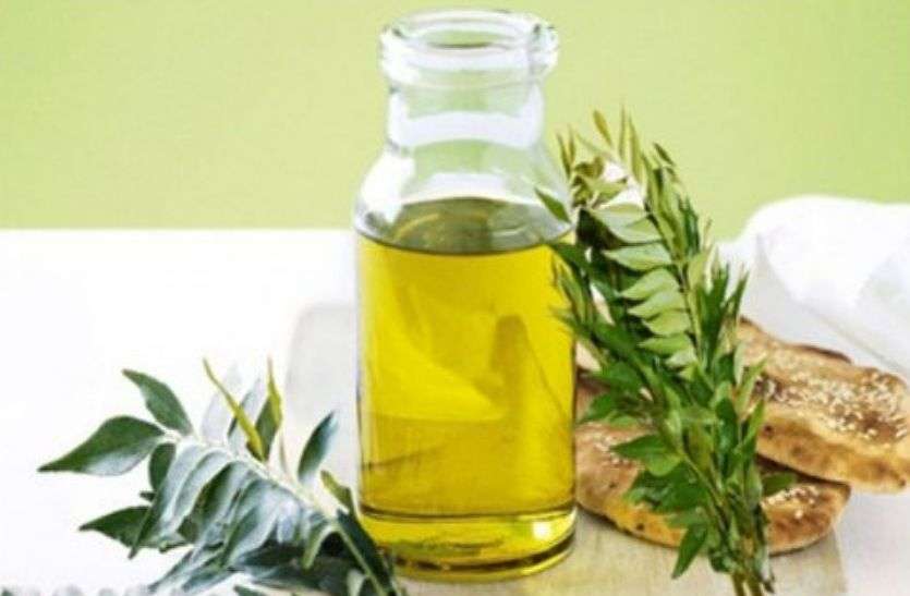 curry leaf oil