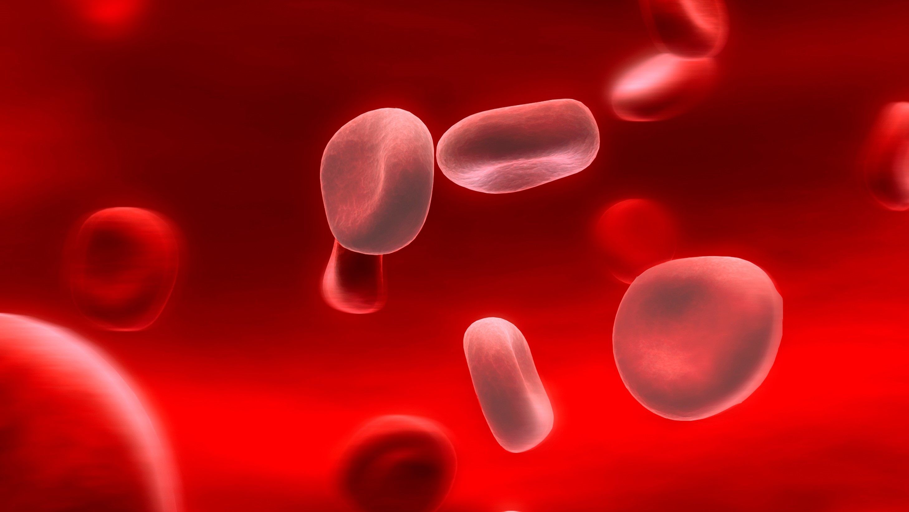 खून की कमी यानी एनेमिया के कई प्रकार हो सकते हैं, आप भी जानिए इनके बारे में