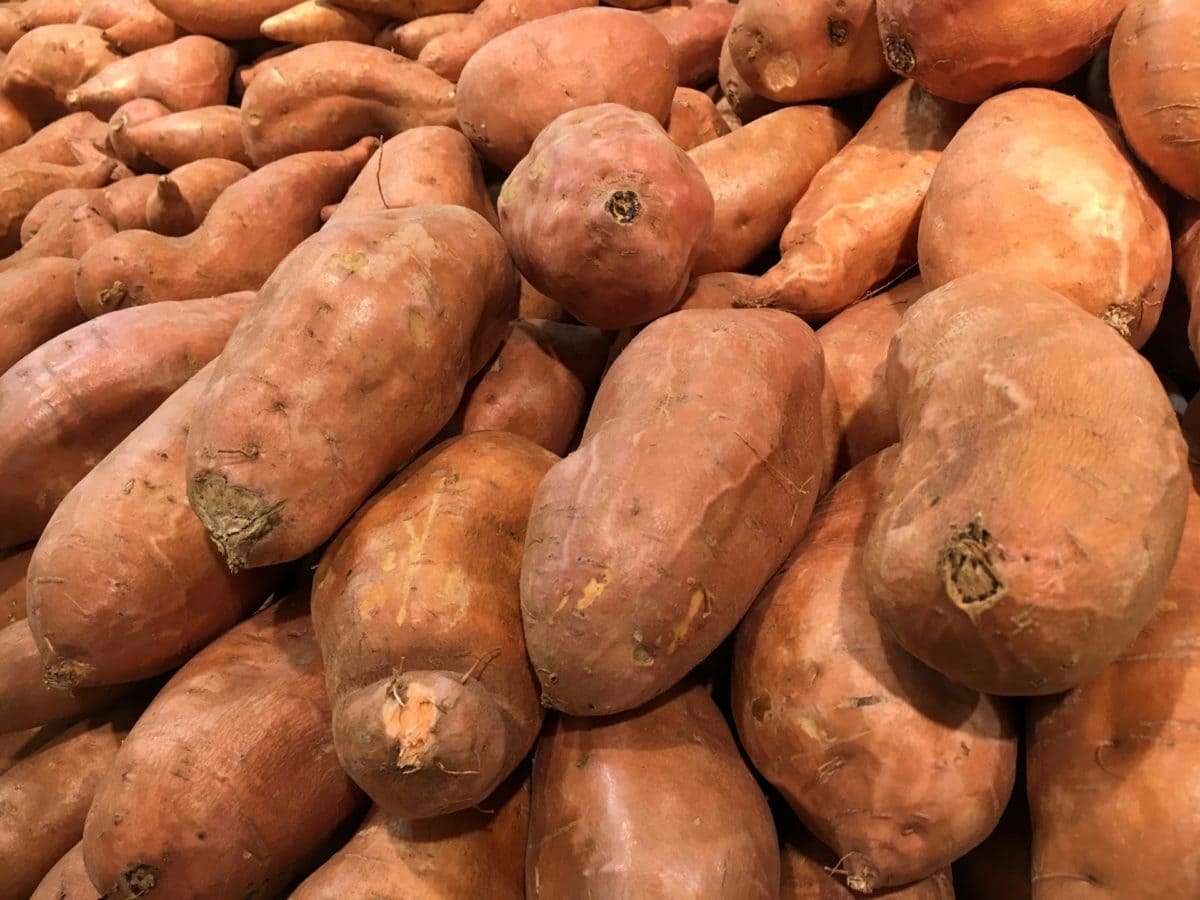 sweet_potato.jpg