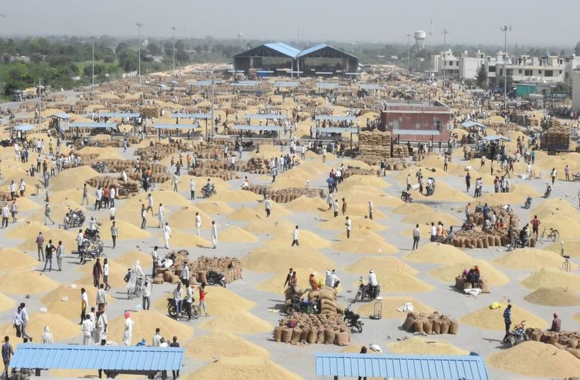 Bundi Mandi का फूल गया दम, जिम्मेदारों का नहीं ध्यान, किसानों को फिर झेलनी पड़ी पीड़ा