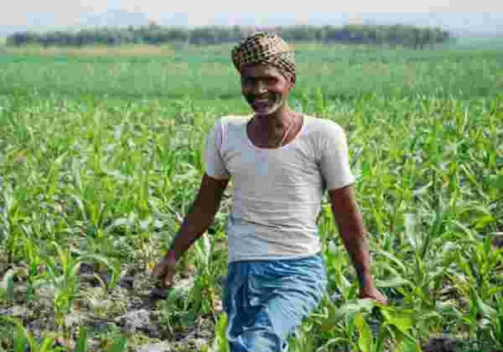 UP Government Relief to farmers in paddy purchase 