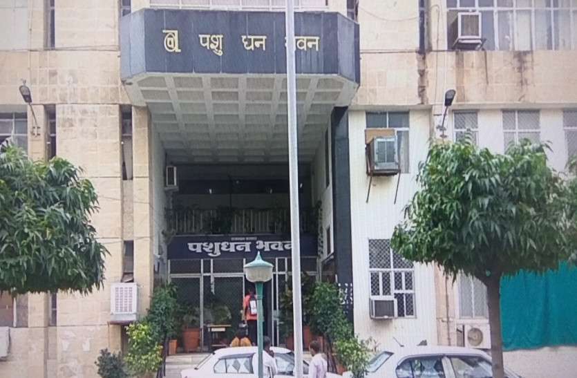 300 पशु चिकित्साधिकारियों की नियुक्ति 300 पशु चिकित्साधिकारियों की नियुक्ति
