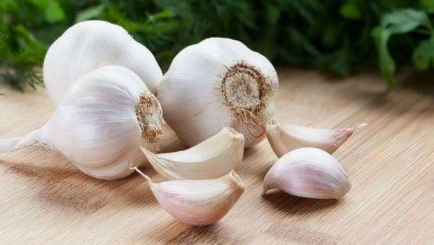 glesn04o_garlic_625x300_12_june_19.jpg