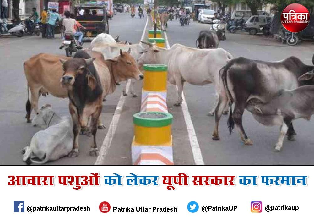 किसान आवारा पशुओं को खिलाने के लिए पराली का करें इस्तेमाल : यूपी सरकार