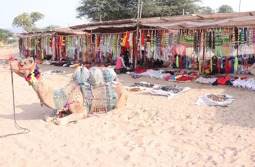 Pushkar Fair Rajasthan 2021