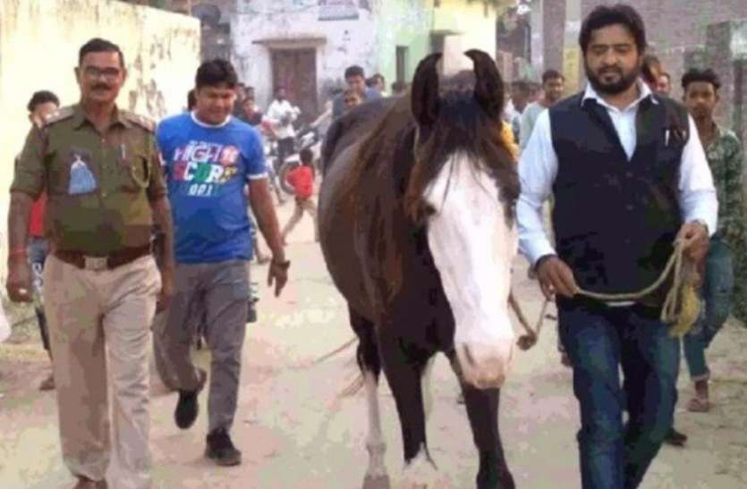 यूपी पुलिस ने फिर किया कमाल! आजम खान की भैंस की तरह 24 घंटे में ढूंढी कांग्रेस नेता की घोड़ी , rampur police found the mare of congress leader like azam khan buffalo