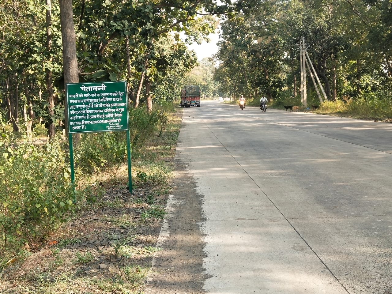 हाईवे मार्ग पर बंदरों के झुंड, ग्रामीण परेशान